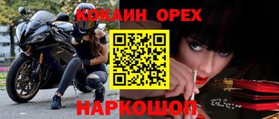 гашиш Кингисепп