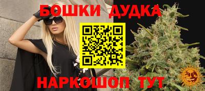 дживик Кинель