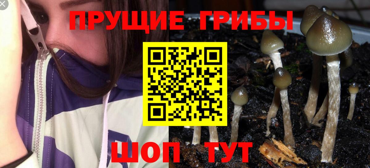 Галлюциногенные грибы мухоморы Заинск