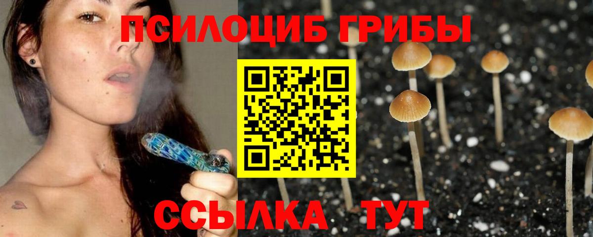 Галлюциногенные грибы ЛСД  Вход с VPN  Заинск  Галлюциногенные грибы Magic Shrooms 